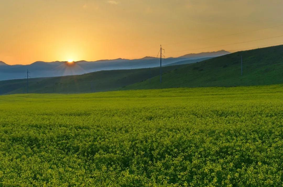甘南的真正样子,甘南为什么划分甘肃