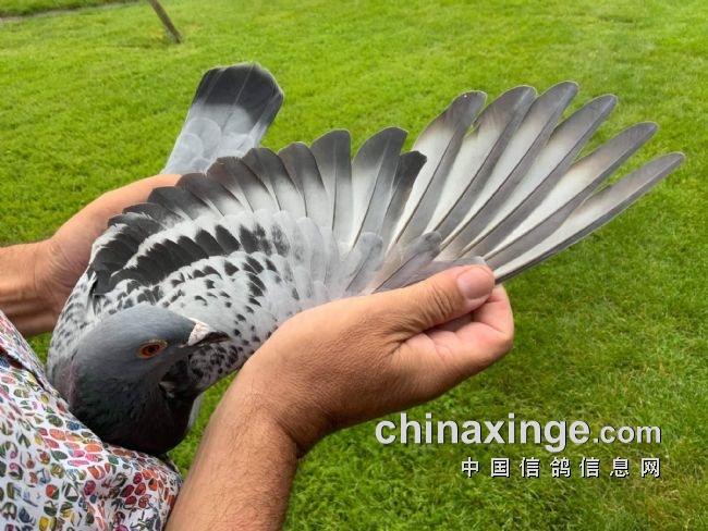 万里挑一的获奖者图片,万里挑一比赛视频