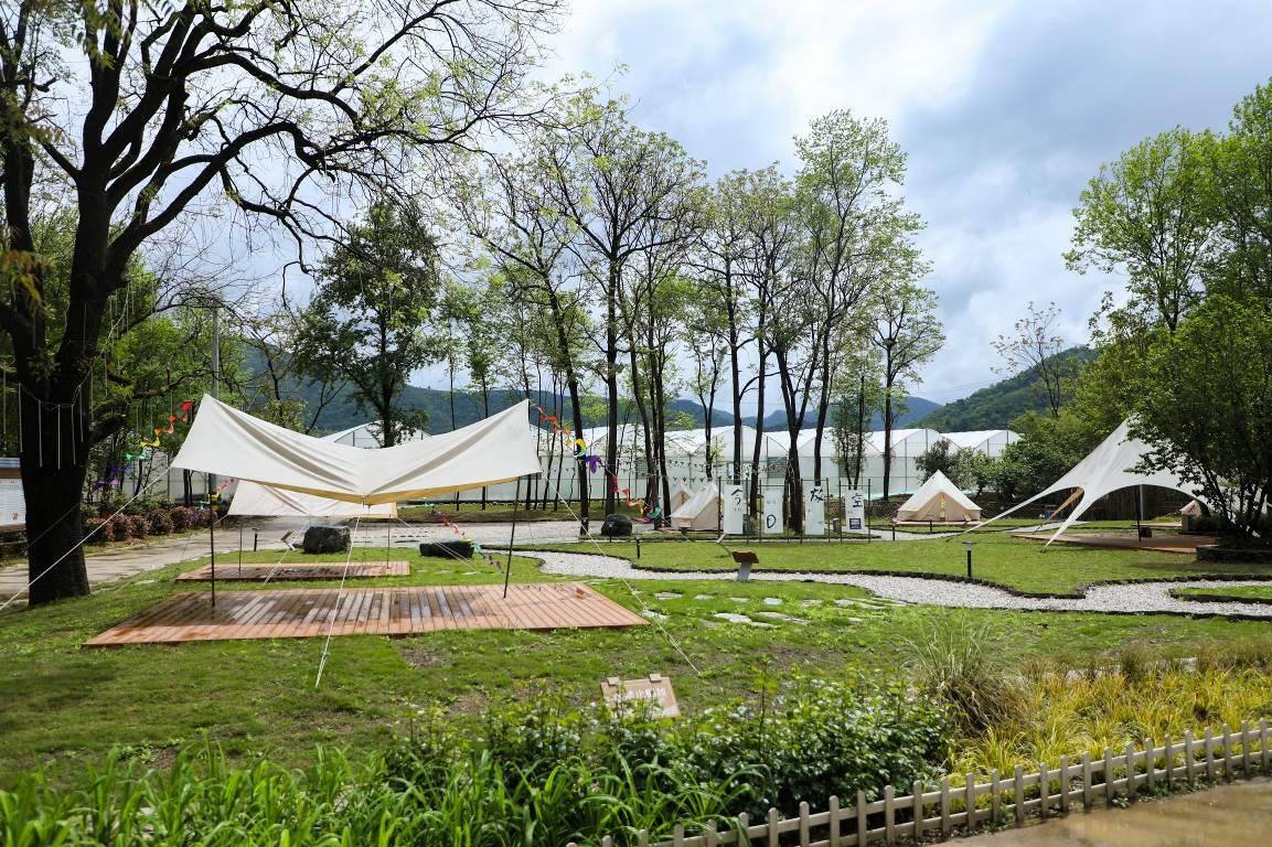 为乡村振兴添动能,供电公司全力助力乡村振兴