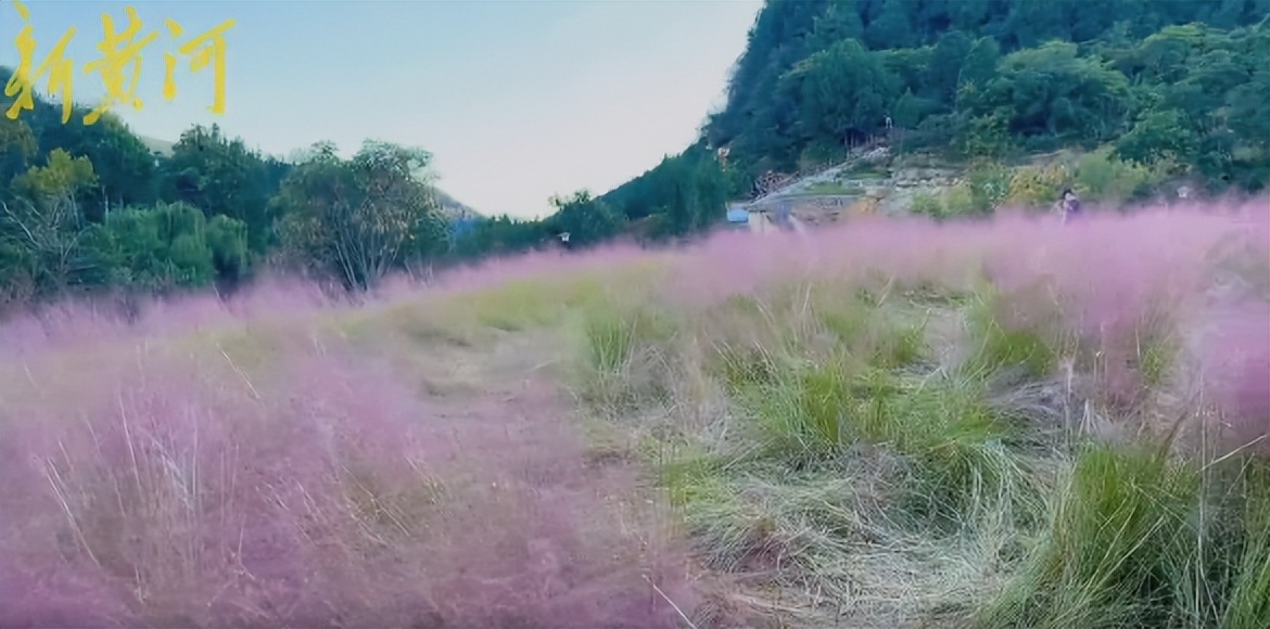 济南美景打卡地秋冬,济南冬天小众宝藏旅行地