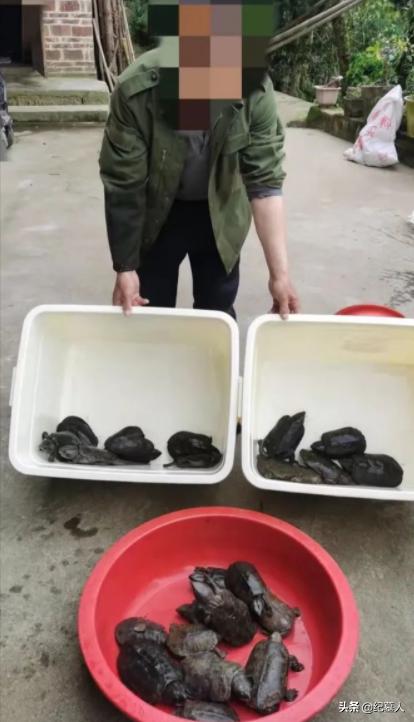 北京一男子捡到一个乌龟养了七年,12年男子捡到乌龟养了7年发现异常