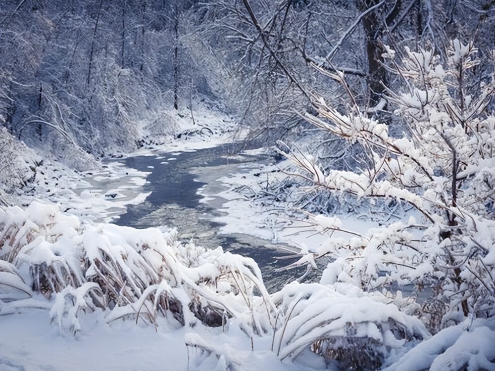 带雪的诗词飞花令简单,关于飞花令雪字的诗句一百句