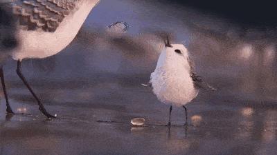 暑假必须陪孩子看的几部动画电影,暑假适合孩子看的动画电影中国