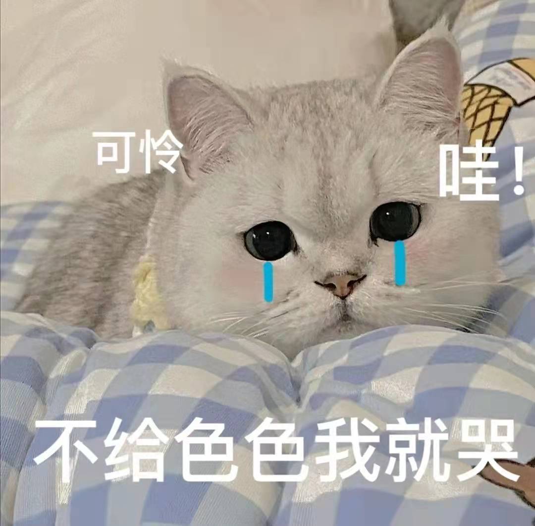 猫咪开车姿势多种多样，绝对是你想象不到的疯狂