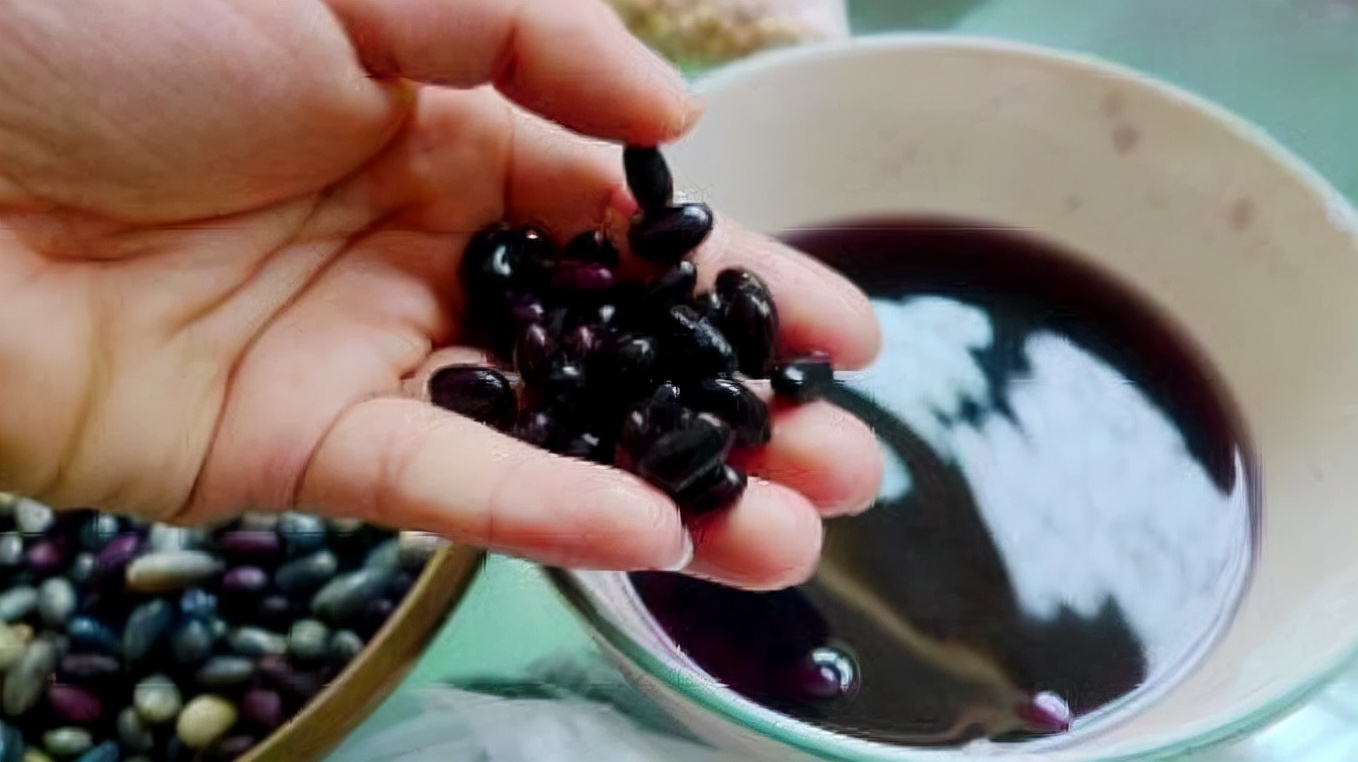 常吃豆胜过肉5种豆子很养生,什么豆类吃不胖又好吃呢