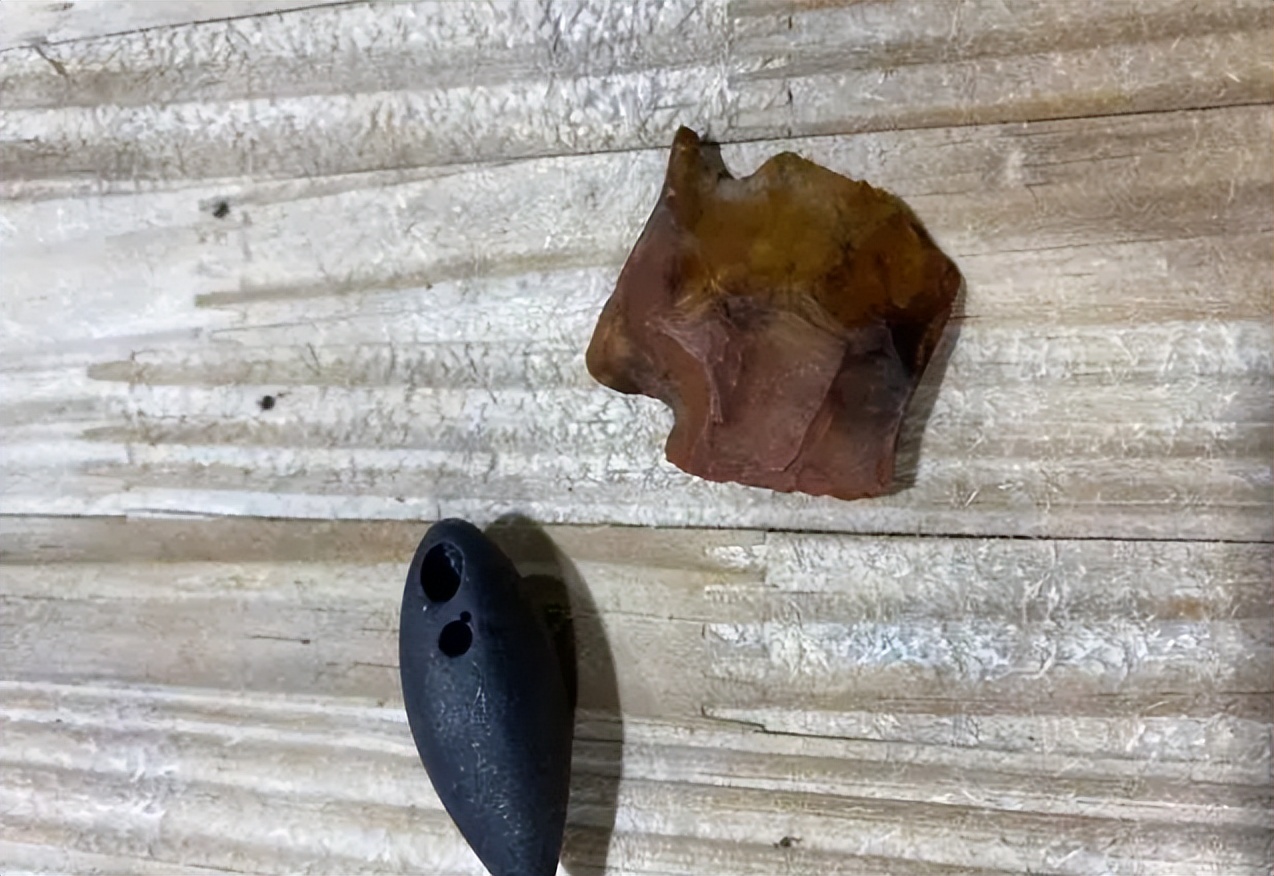 文胸、高尔夫、炮弹、珍珠、*物文**，盘点这些从动物肚里发现的东西