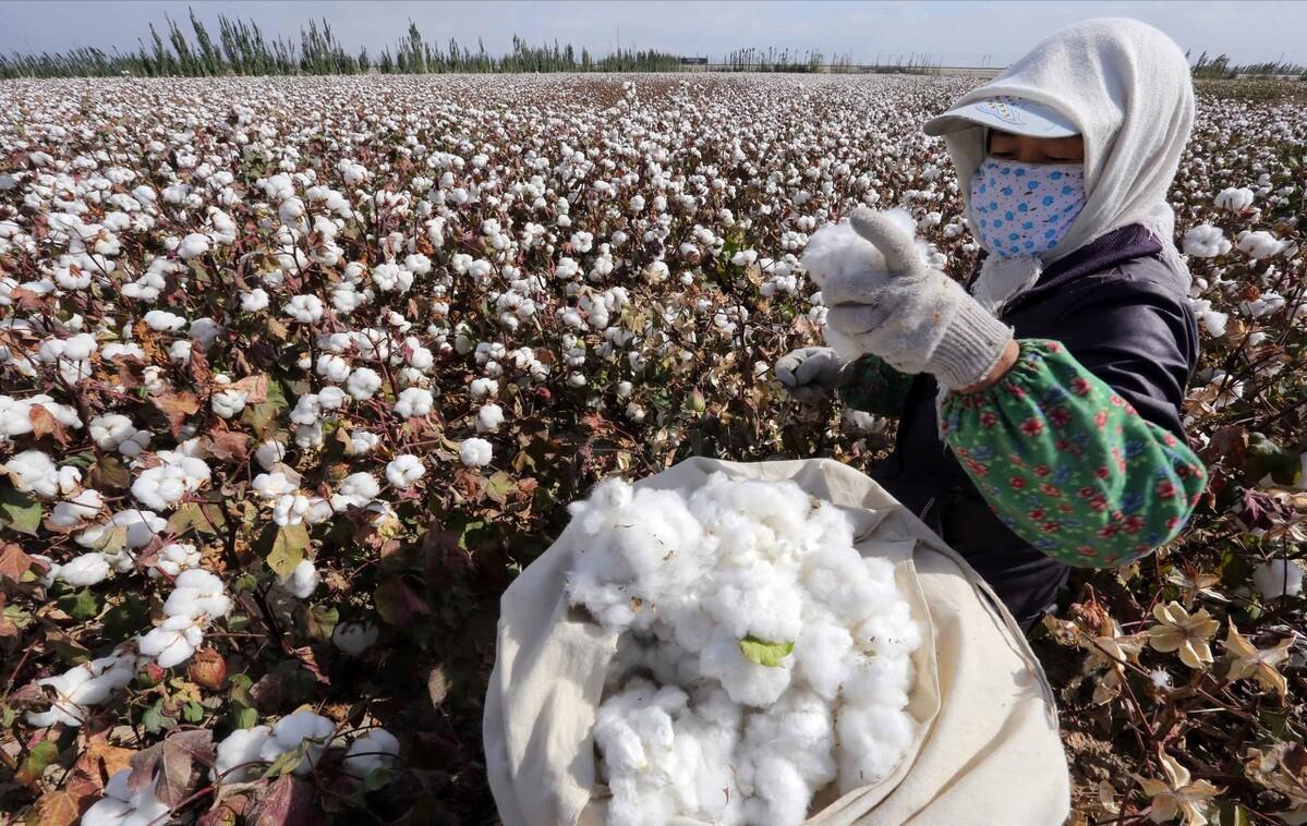 美国棉花价格每公斤多少人民币,美国棉花一包多少公斤