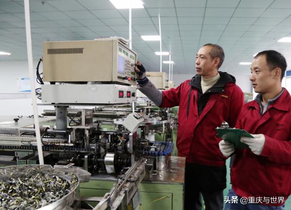 忠县:“库心”仲冬“绿”如春