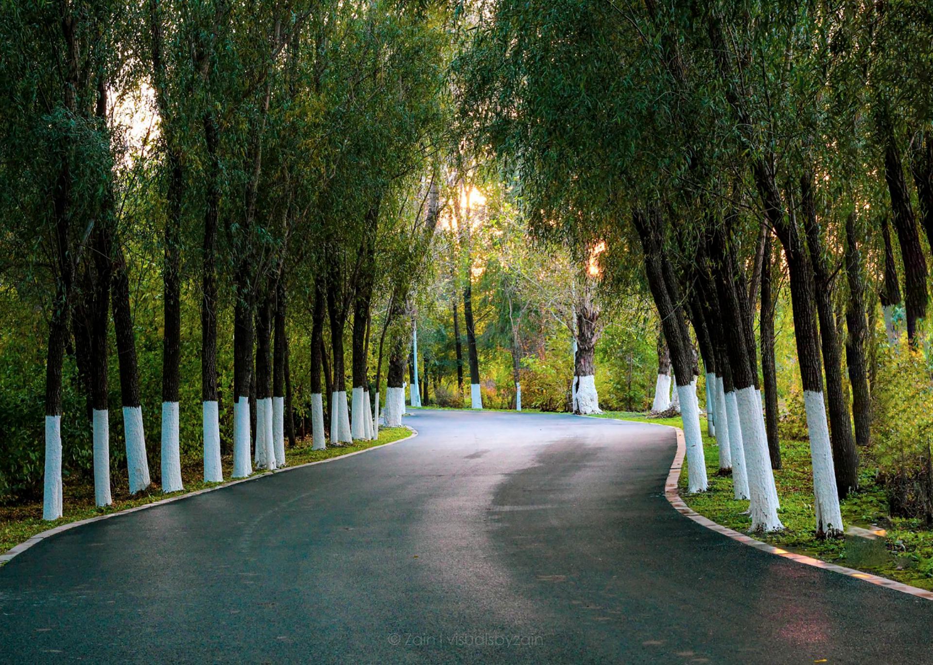 大连沈阳十大宜居区,辽宁双子星沈阳大连