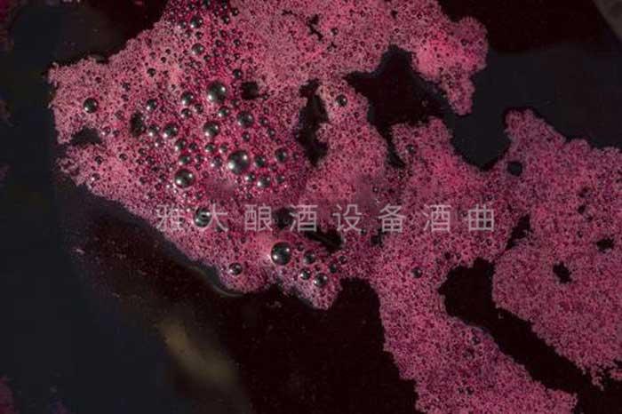 酿造桑葚酒正宗制作方法,怎样泡桑葚酒和制作桑葚果酒