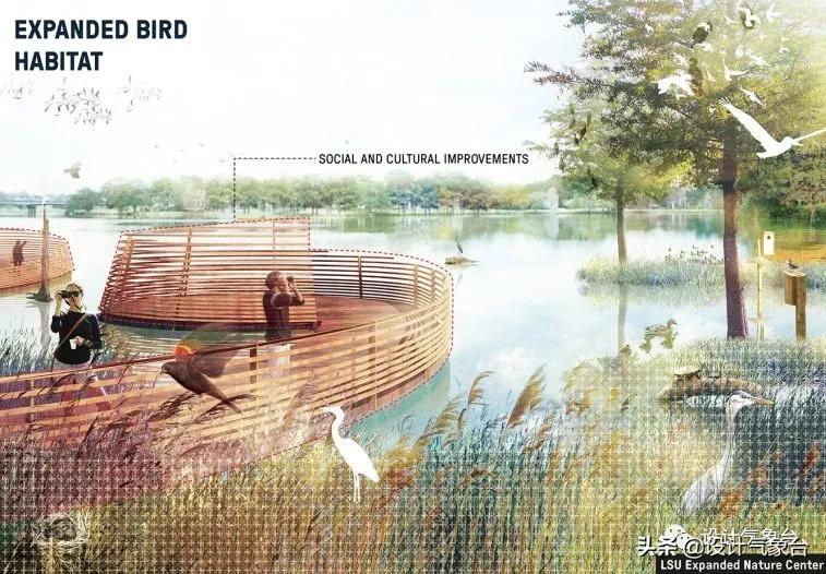 湿地景观效果图,big惜败完整视频