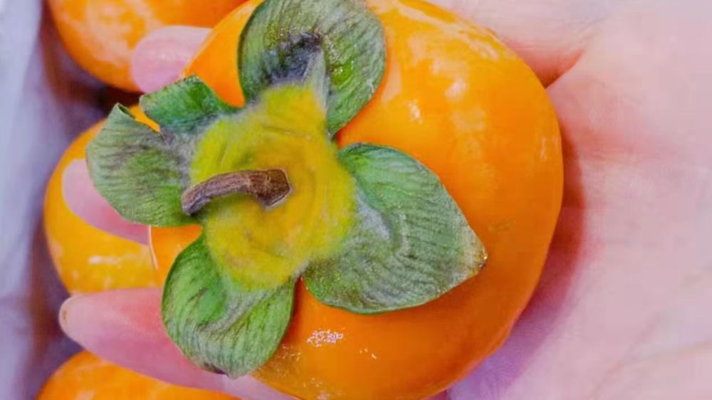 位置好的水果店怎么经营,想开家水果店有什么经营技巧呢