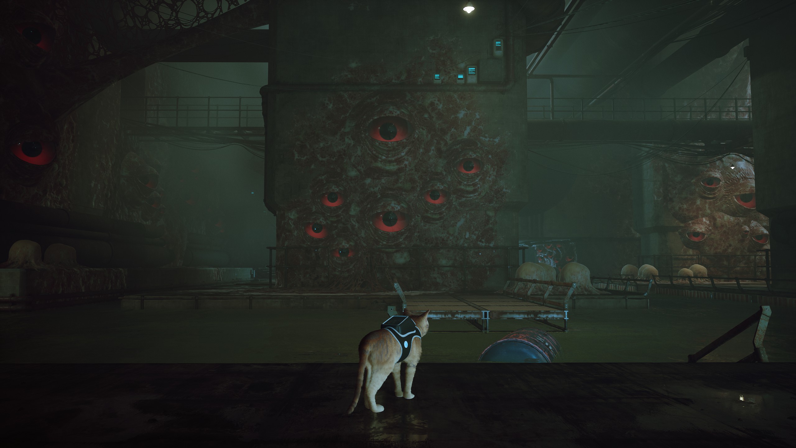 stray新游戏,stray这个游戏怎么样