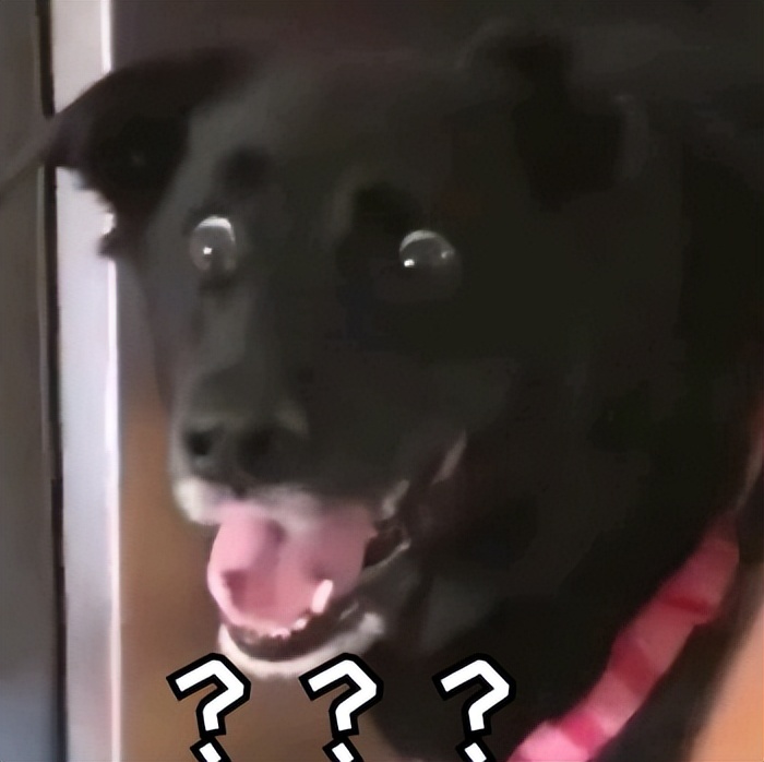 狗狗叫声的含义,狗狗的叫声像哭一样怎么回事