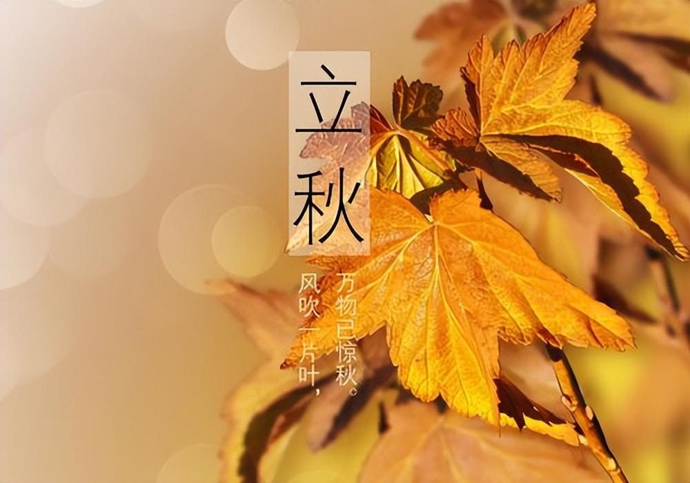 二十四节气之立秋养生,二十四节气立秋的解说