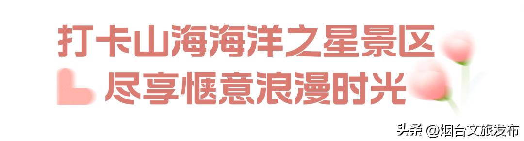 氛围感拉满游客打卡,氛围感拉满海边情头