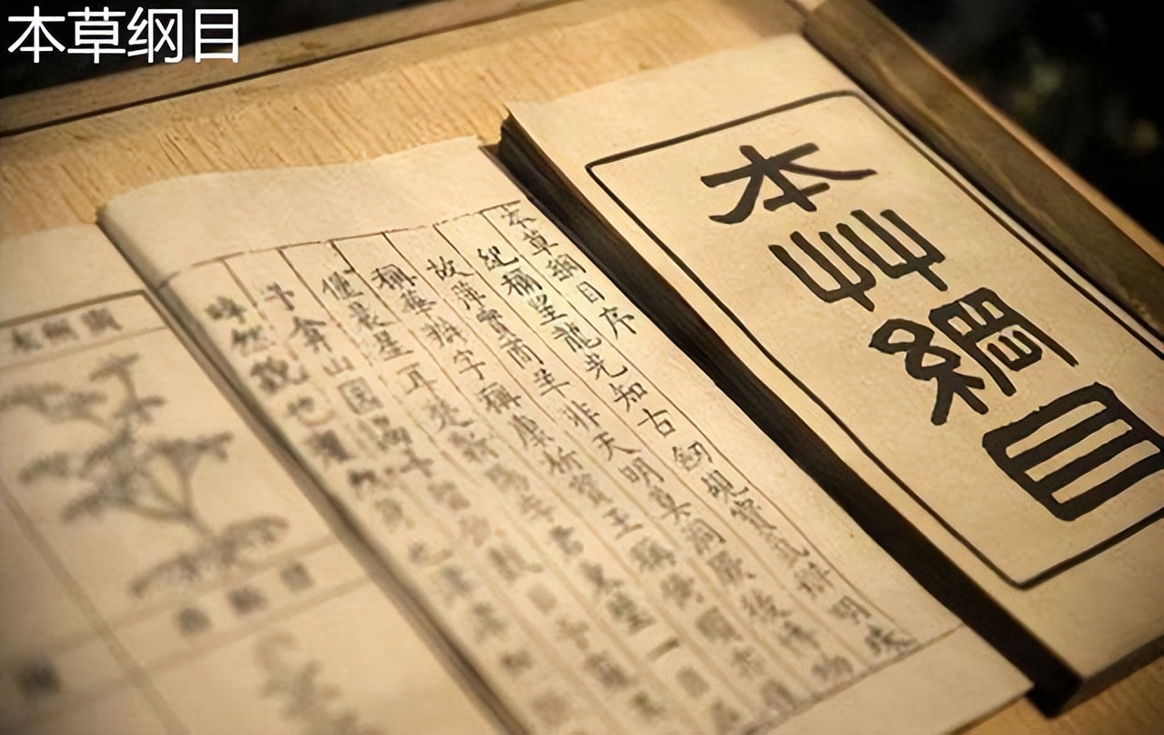 米醋香醋陈醋白醋区别涨知识,陈醋香醋白醋米醋的区别和用法