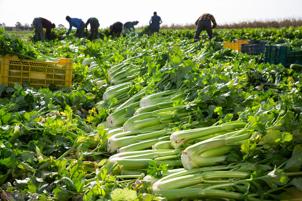 我发誓这个省钱绝技真的很绝，而且几乎没有人知道