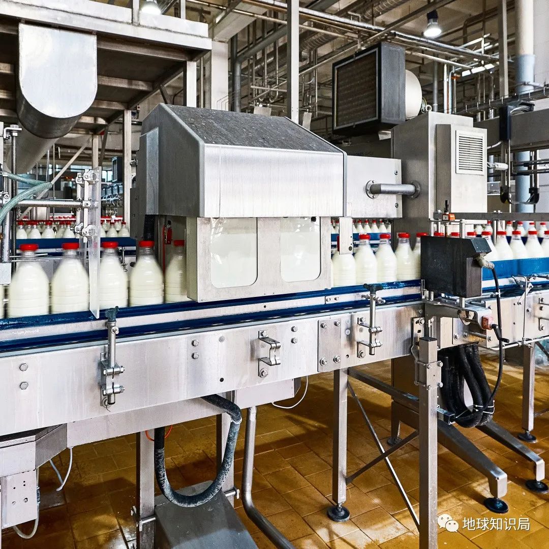 没洗干净的猪大肠到底臭不臭,猪大肠3年没洗是真的吗