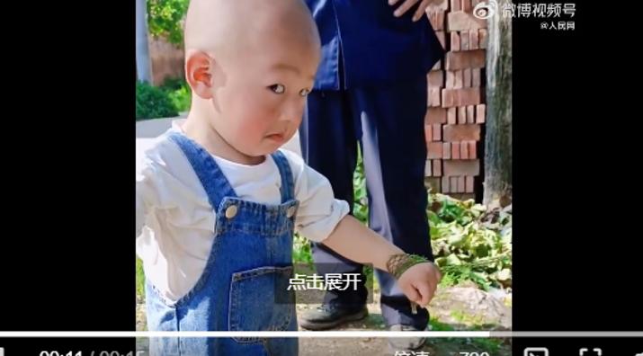 最近新闻法治热点大事件,法治热点事件最新消息