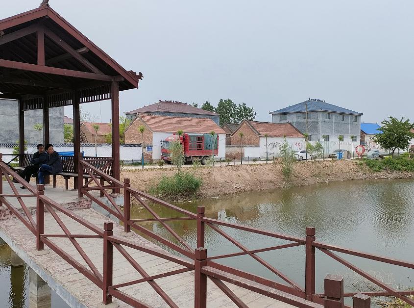 肥乡农村废弃坑塘改造公园案例,废弃坑塘变良田视频