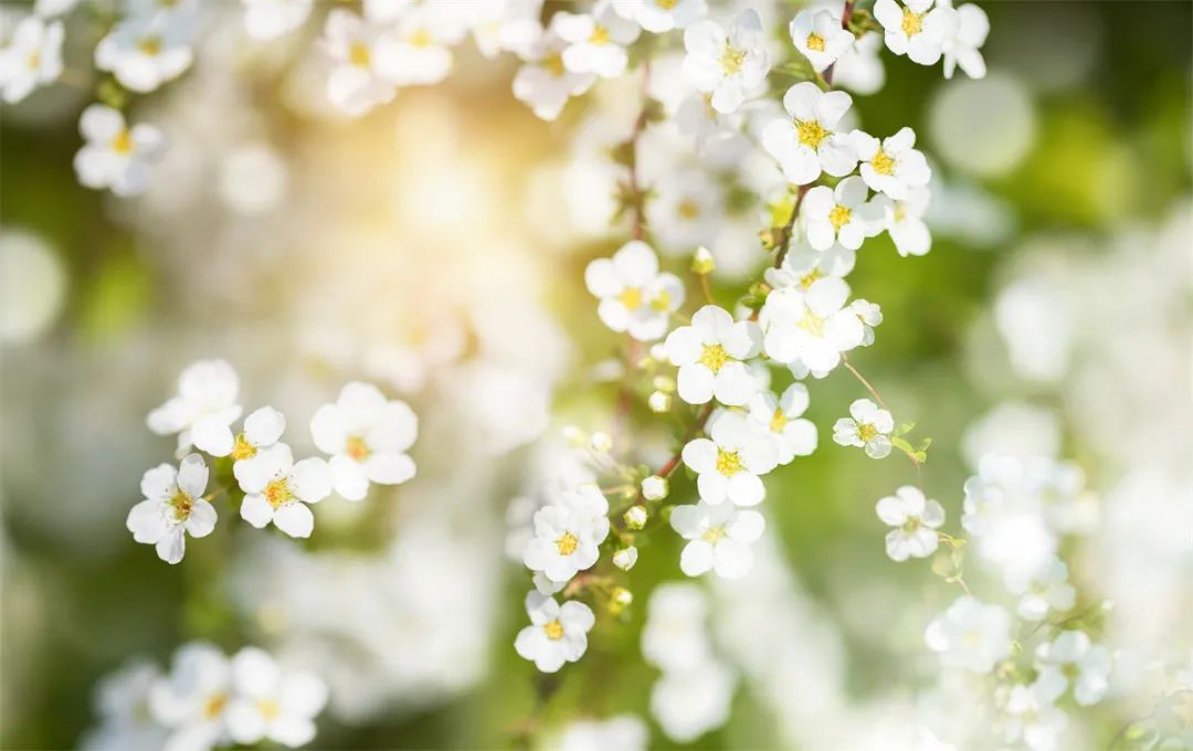 苏州踏青地点排名,苏州太湖踏青