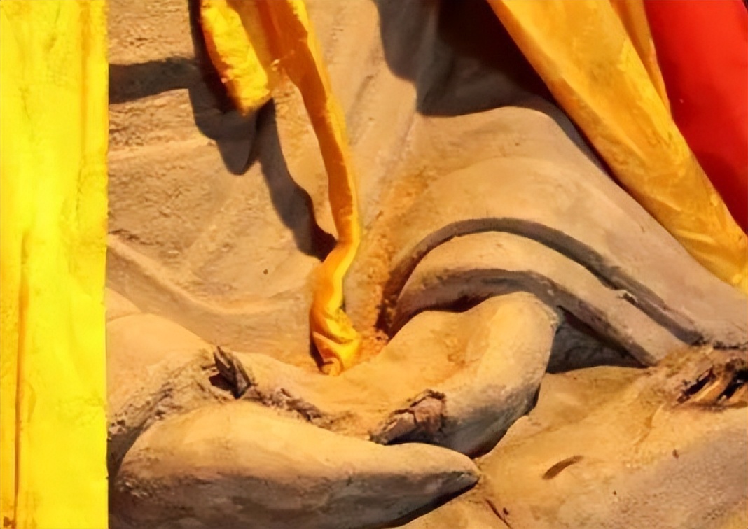 80岁老人深山发现土匪洞完整版,山西老农发现山洞