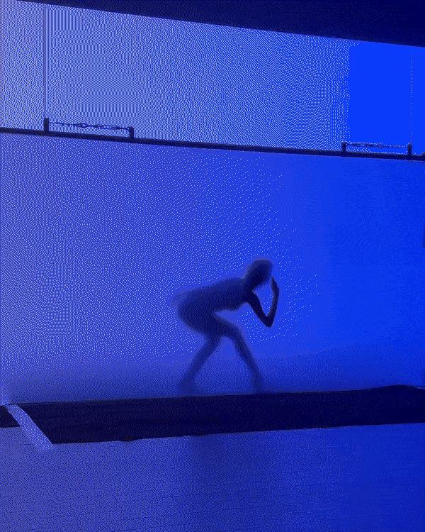 王嘉尔对lisa疯马秀的评价,lisa在疯马秀上表演引争议