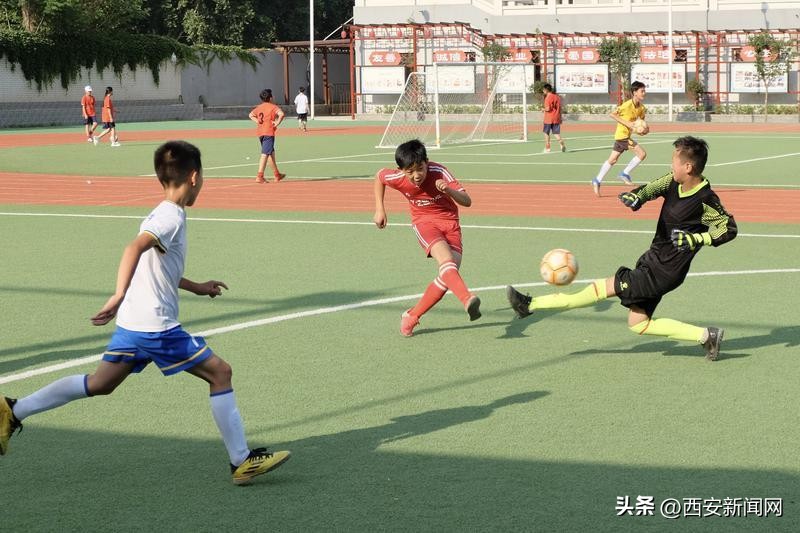 打造校园足球特色完善梯队建设,校园足球运动促进青少年素质培养