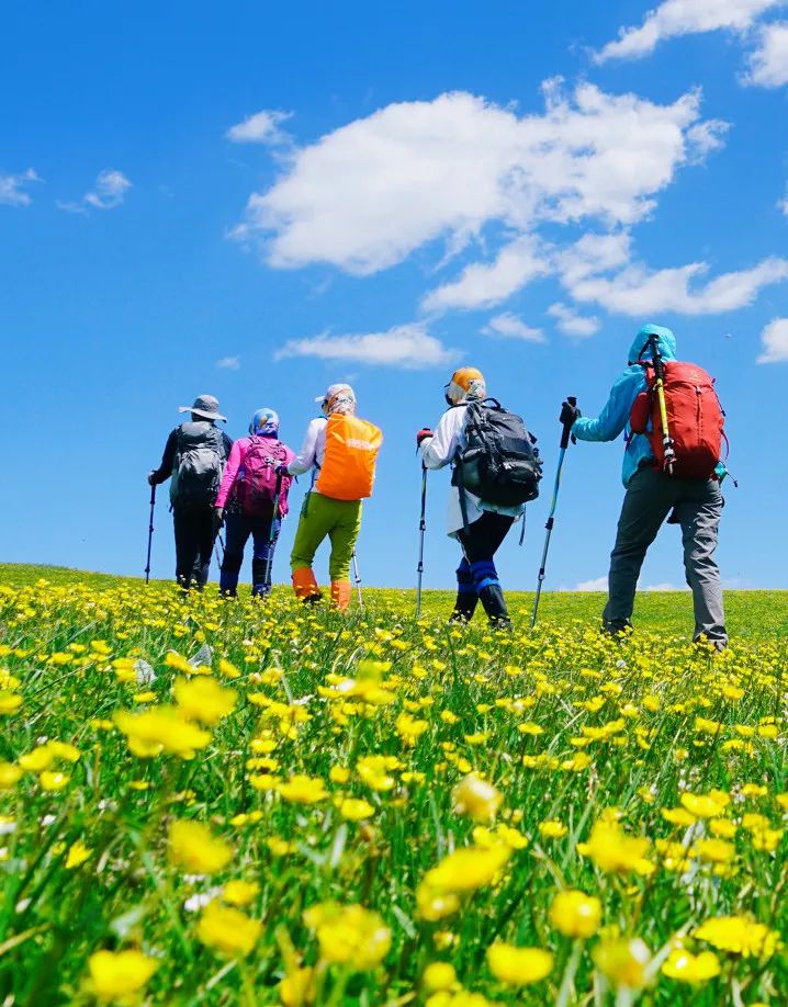 那拉提空中草原雪景照片,大草原的壮丽雪景图