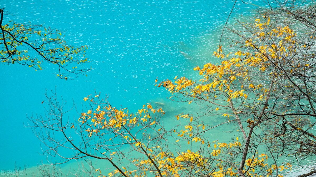 秋之韵散文完整版,最经典的秋之韵散文