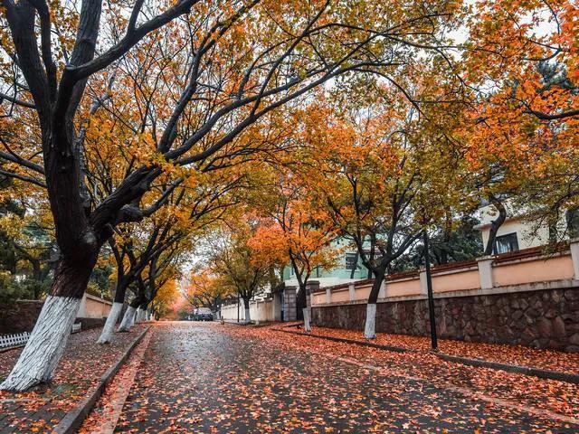 青岛海滨城市的风景,一定要去的沿海城市
