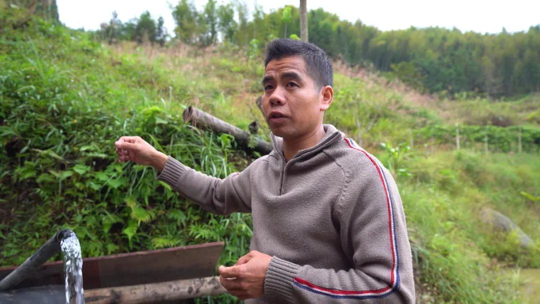 高山溪流冷水鱼怎么钓,山区冷水鱼养殖技术