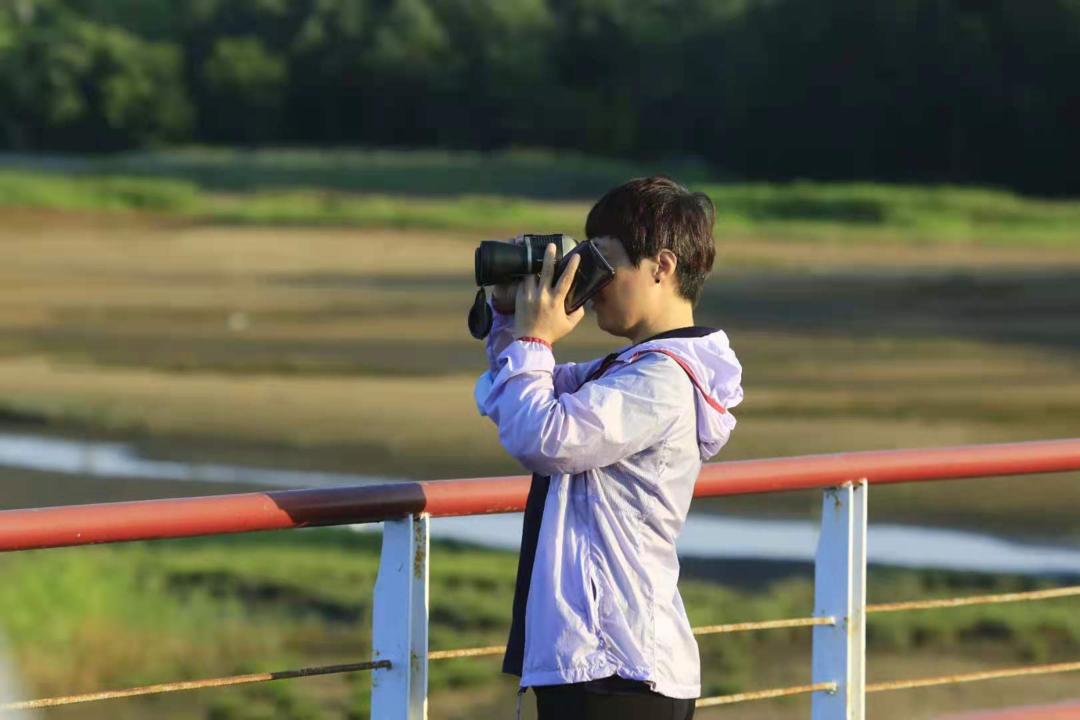 秦皇岛鸽子窝最佳观鸟地点,秦皇岛观鸟时间