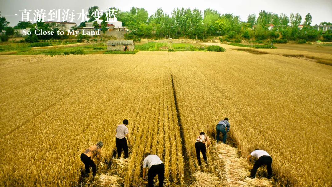 梁鸿关于故乡的句子,梁鸿贾樟柯讲故乡