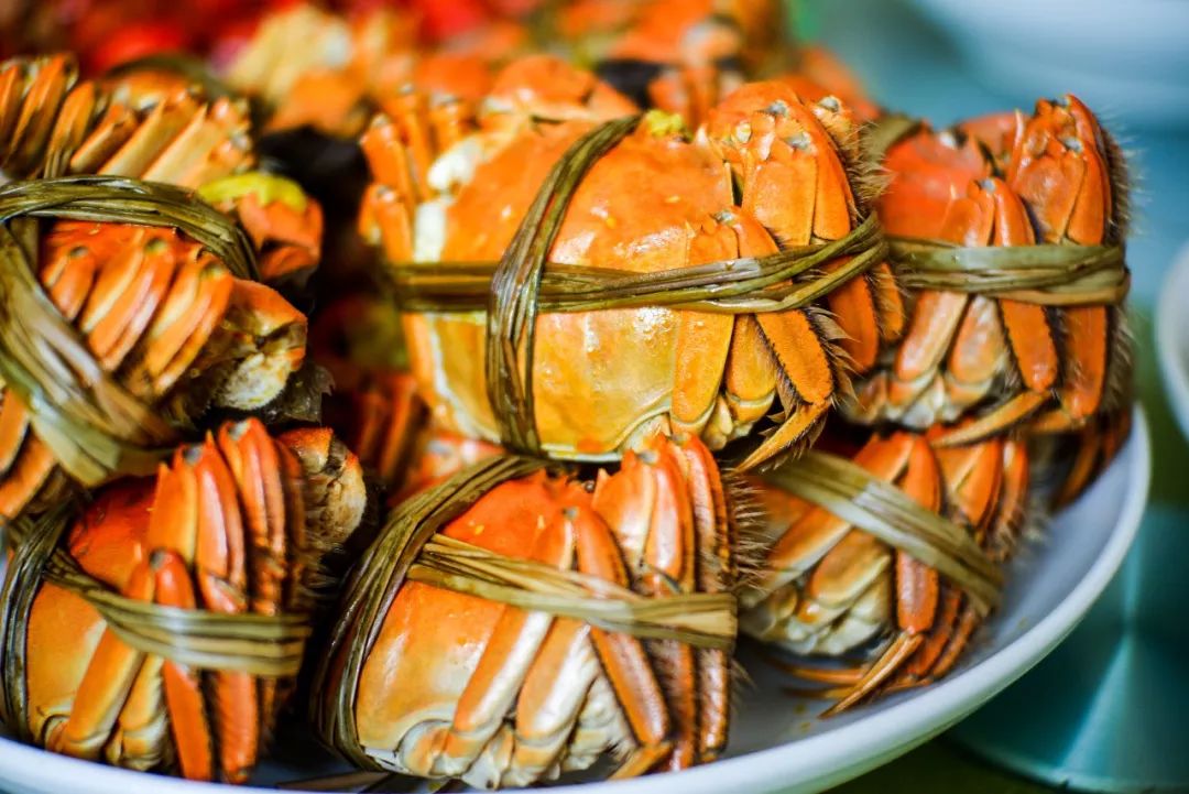 相约金秋“蟹”逅高淳|固城湖的“横行介士”来啦！