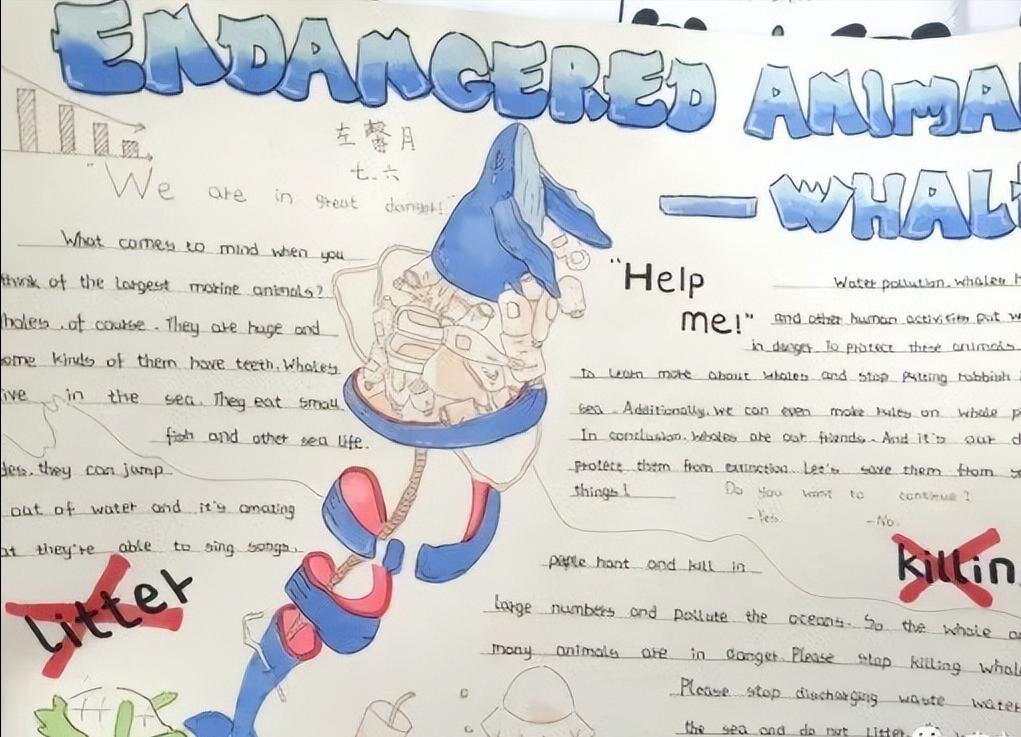 保护动物的英语手抄报六年级图文,英语保护动物手抄报六年级内容