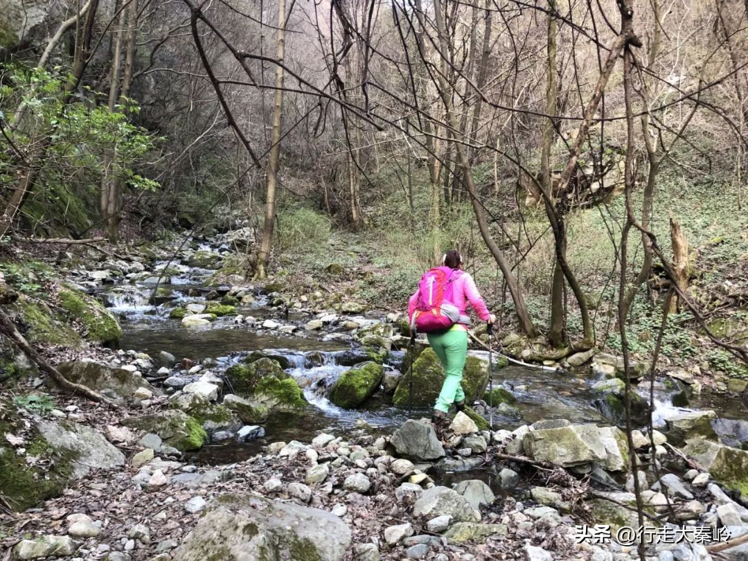 首阳山穿越大坪梁景色怎么样,大坪梁穿越到首阳山攻略