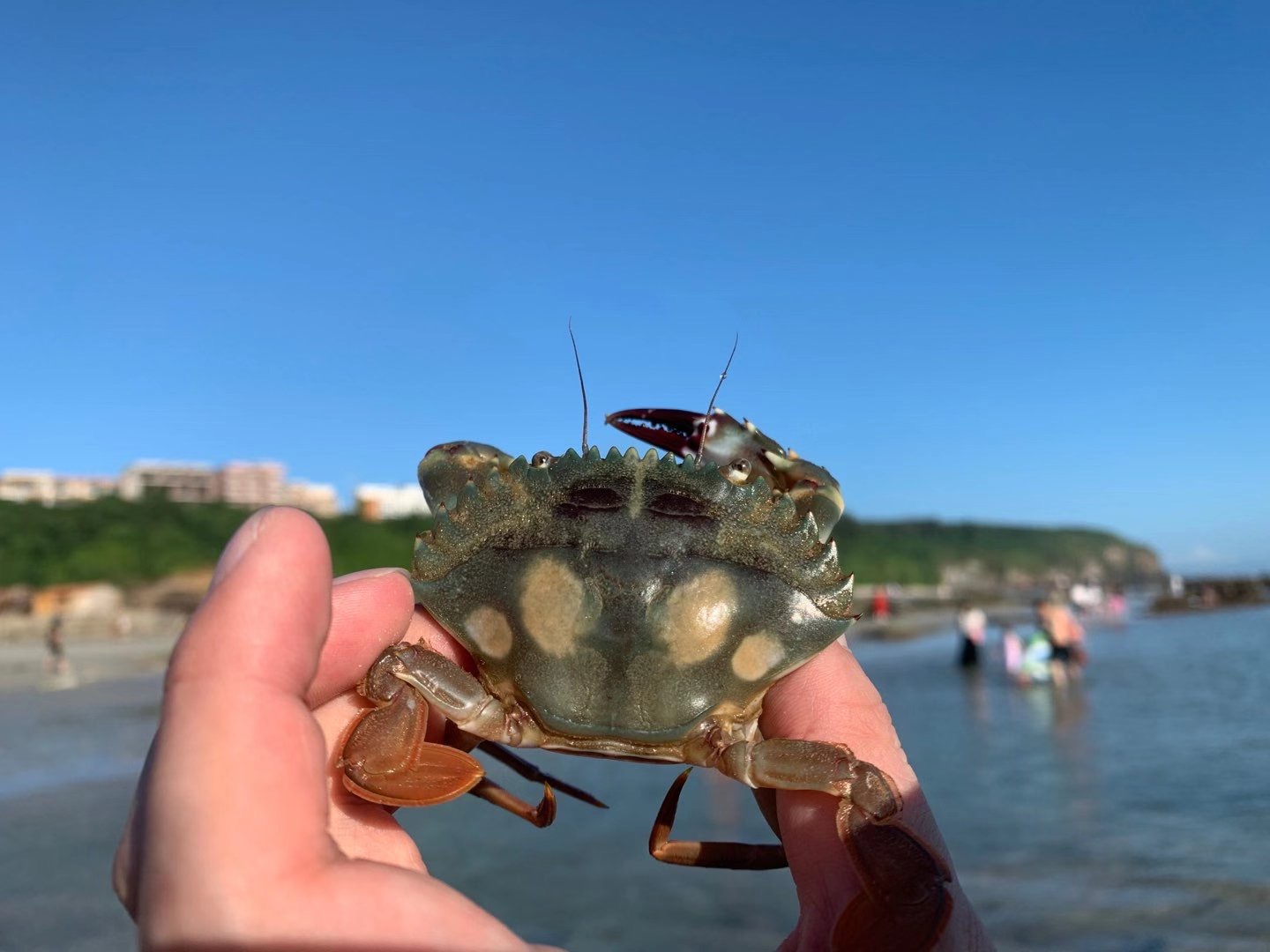 北海涠洲岛保姆级攻略,北海保姆级旅游攻略