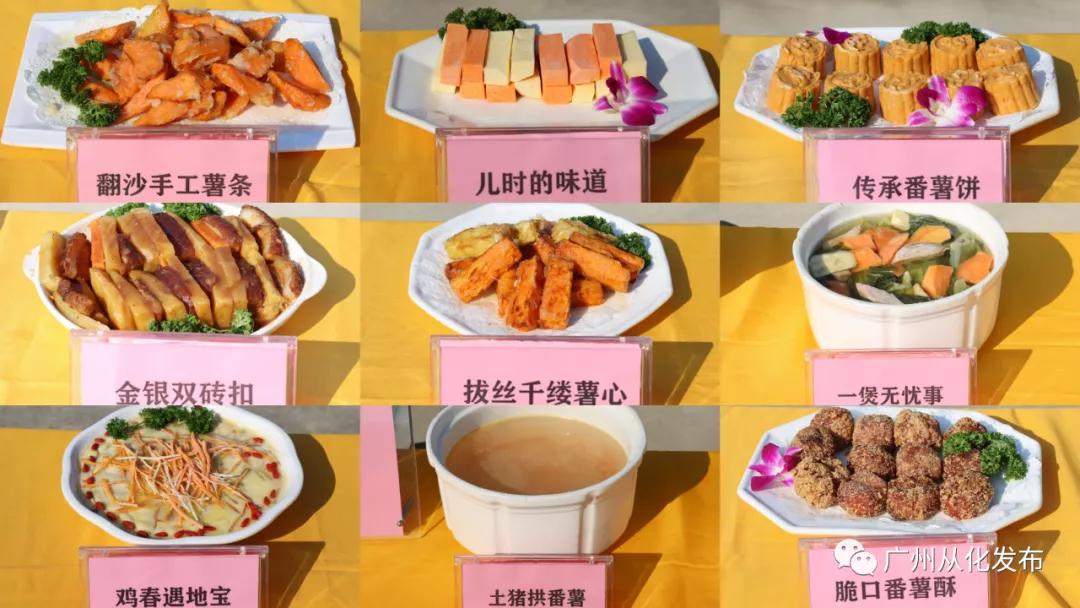 良口镇良平村番薯,从化良口镇高山番薯