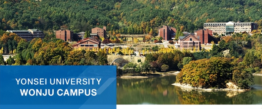 韩国延世大学和清华大学哪个好,韩国延世大学相当于中国哪个大学