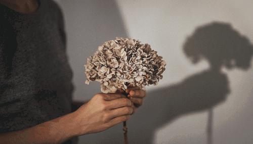 一个32岁的女人的婚姻自述,一个已婚女人对婚姻的自述