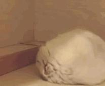 cad图纸怎么转换到布局,怎么将cad中的表格转换到excel中