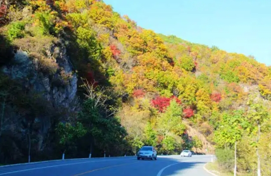 跨省租车哪个便宜?它一直打的都是低价格战,所以车辆租金很便宜