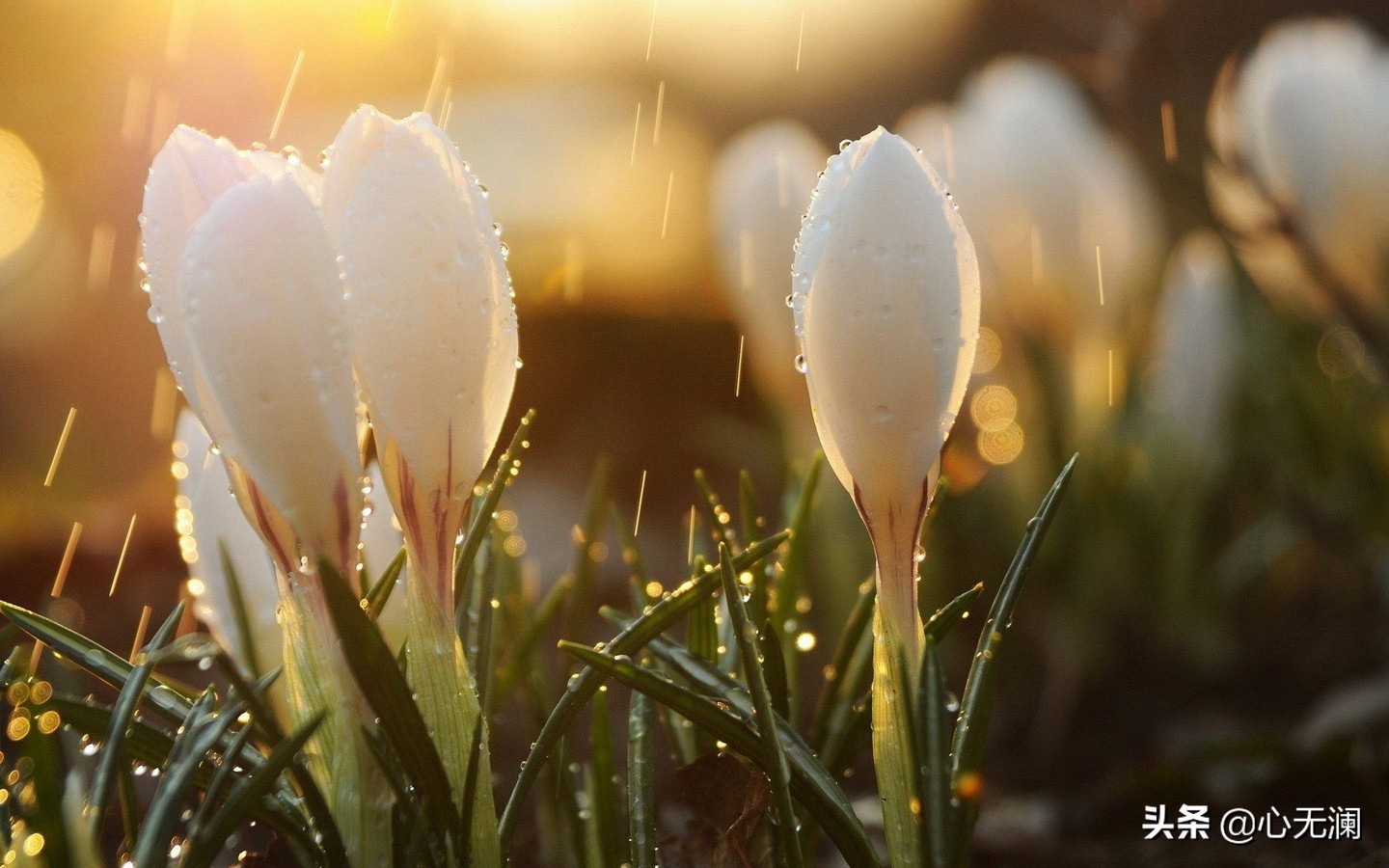 愿天下无“癌”：鼻咽癌患者，拒绝吃肉家人反对，半年后病毒清零