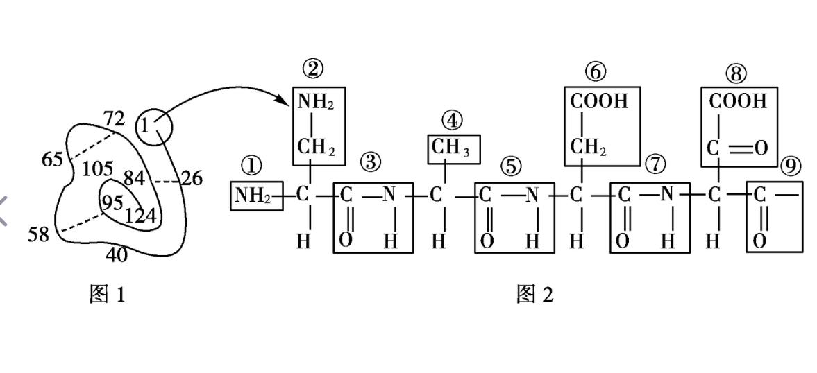 脱除有机硫为什么要用高压法,脱硫去除氯离子的办法
