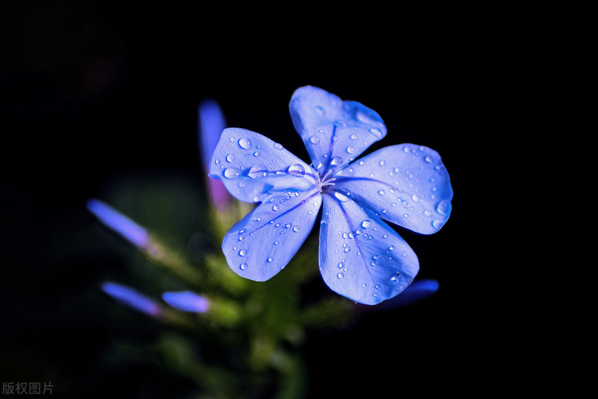男人让女人失望心凉的短句,男人让女人心凉的几种愚蠢表现