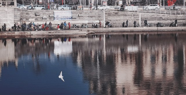 农闲时挣点小钱,适合打工人闲时挣钱的副业