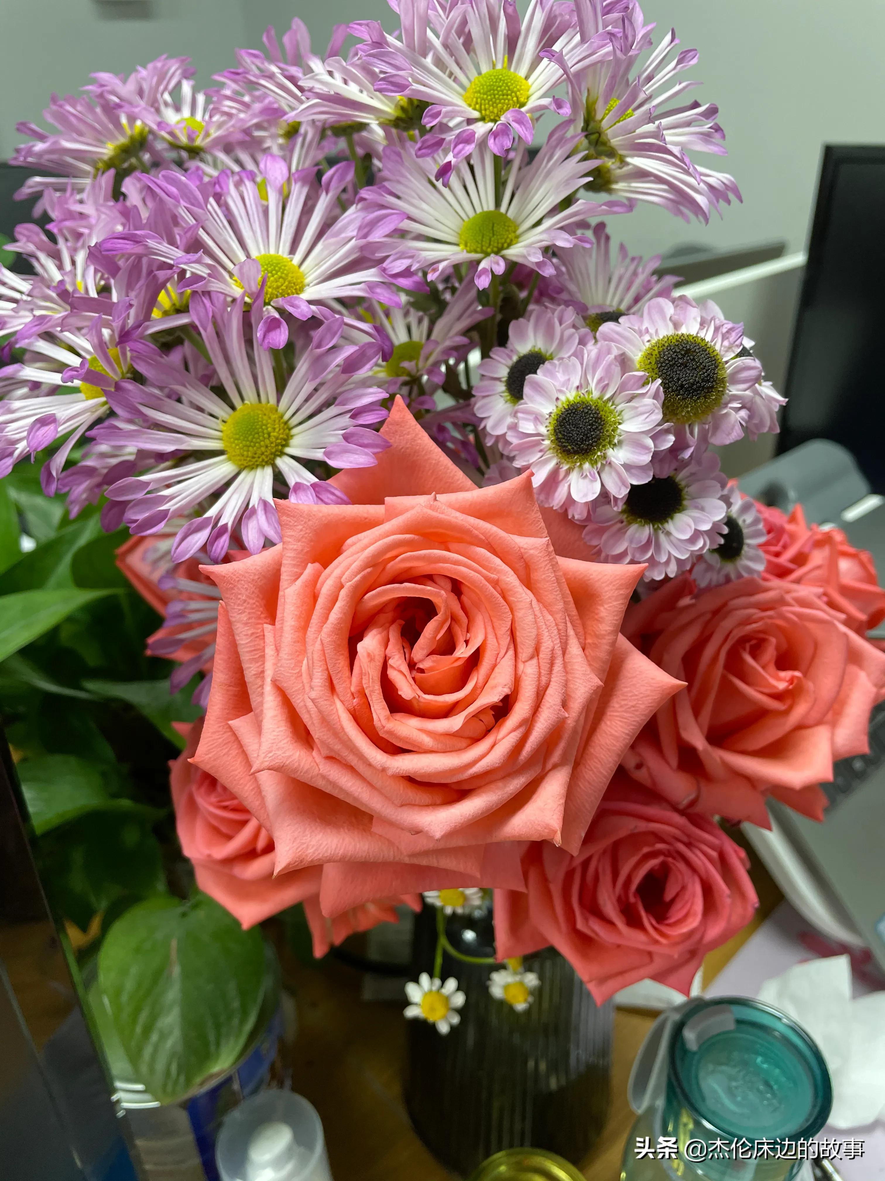 网上鲜切花怎么养护,最耐养的鲜切花