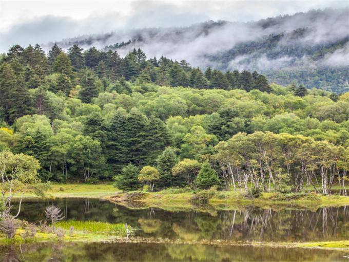 云南旅游避坑攻略一日游推荐,1月份一个人去云南旅游避坑